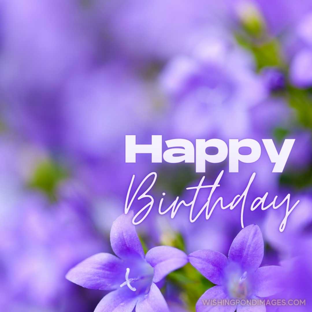 Close-up image of Campanula portenschlagiana flower. Happy Birthday Purple Flower Images